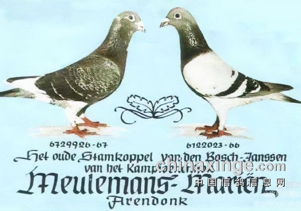 �λ������� ��������������ǰ������