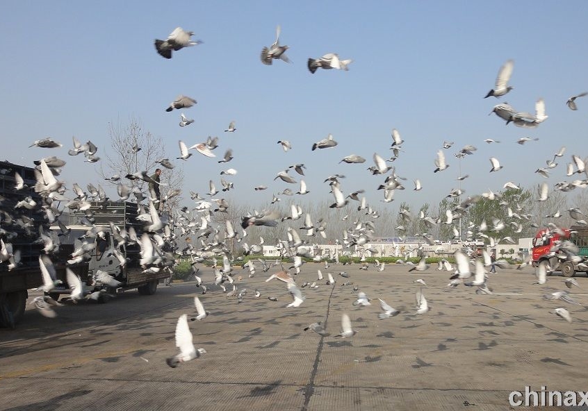 ������Ļ�������ɺ��˲ſ��Խ���ϴ��