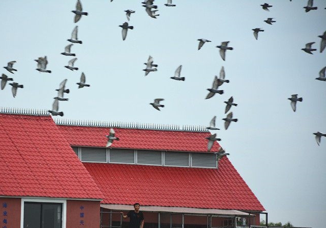 ��������Ҳ