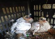 ʱ��ʮ�� ��ҵ����ʰ����������