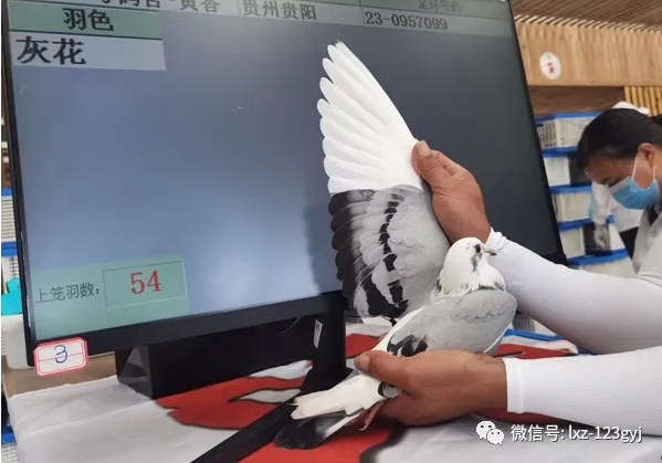 �������� �ڱ���覴�Ҳ�ڸ�����ʵ