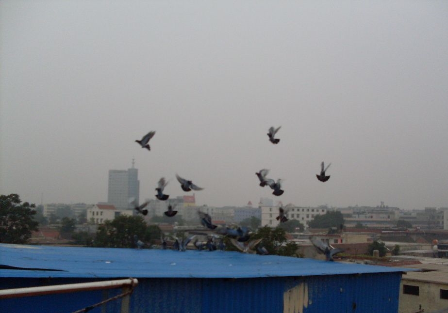 �Ͻ��±��������� һ���ø���