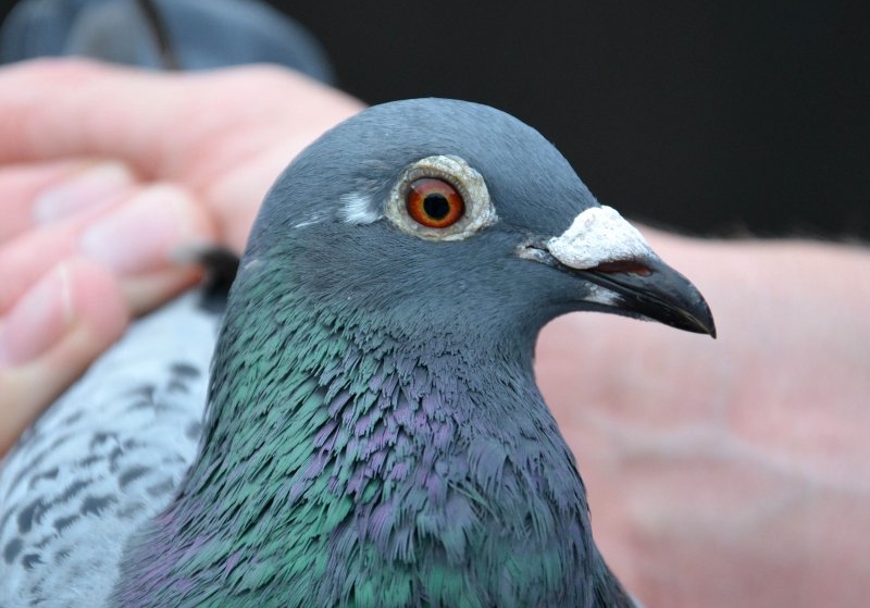 С�����г�·��