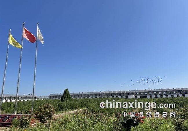 ��ǿ��ǿ��ǿ������һ���Ÿ��Ĳ�ҵ������