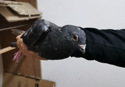 ������������������������ȥ������