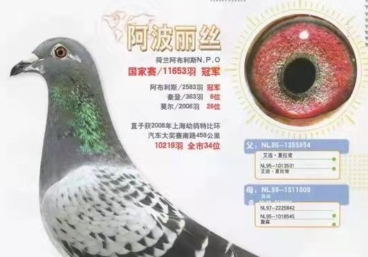 ǳ̸��������˿����·Ѫͳ������