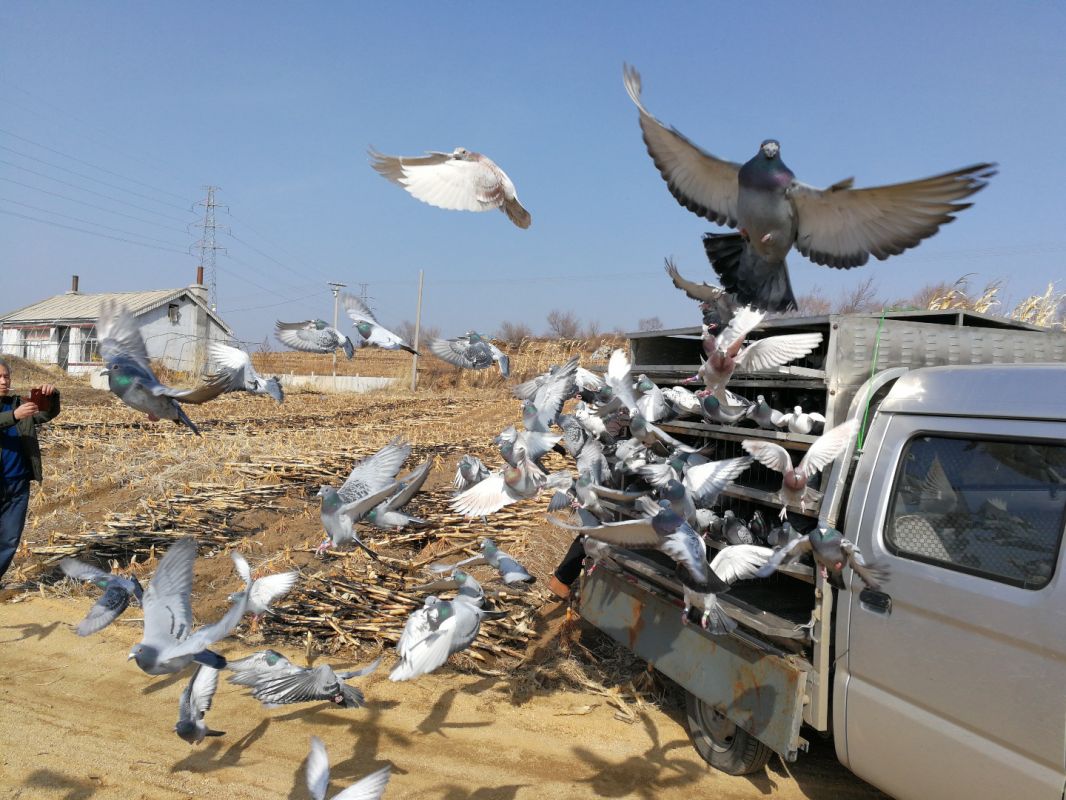 ѵ�����Ȳ��㵼��ʧ����أ�