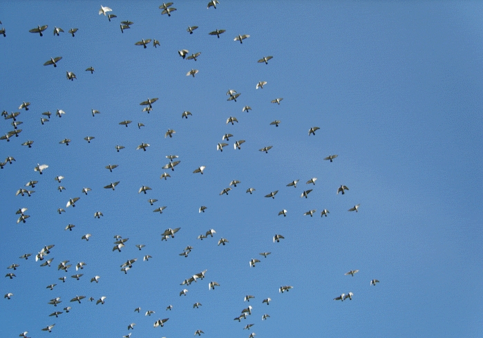 ����ǵ������ҿ��룿����˳�ƶ�Ϊ