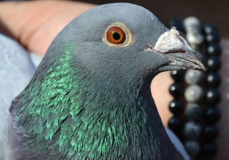 �����ø���˭�ģ��Լ��ɾ����ˣ�