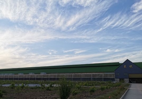 �߷ø������ù���