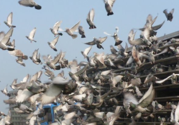 ѵ����ǣ�����ѵ�ű仯��