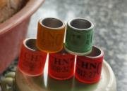 ������תת ���ּ�ö���㻷�������