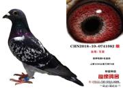 ��ϲ���Ϲ�Ѫ���𣿷���һ���ҵ���������