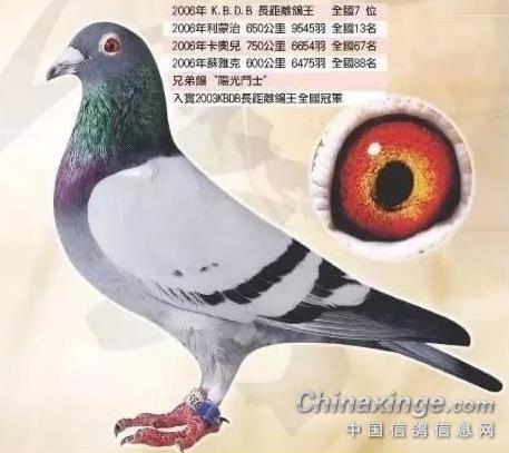 KBDB�����������������ƾ��ˡ�