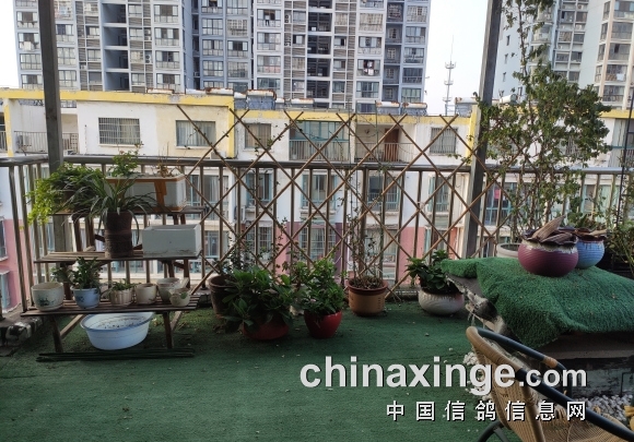 90��Ů����¶̨�������루����