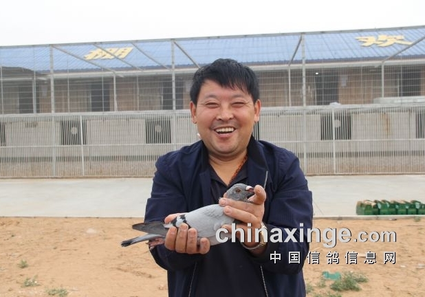 ��Ӯ�۷����븣�أ�����̽������������