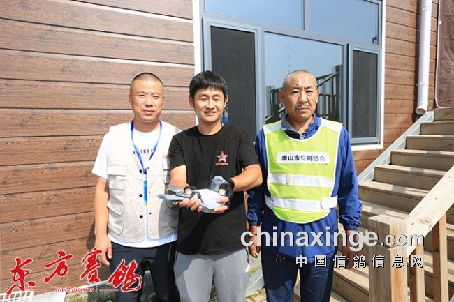 ����ţ����˭�����볡ȯ��������63·Ӣ������