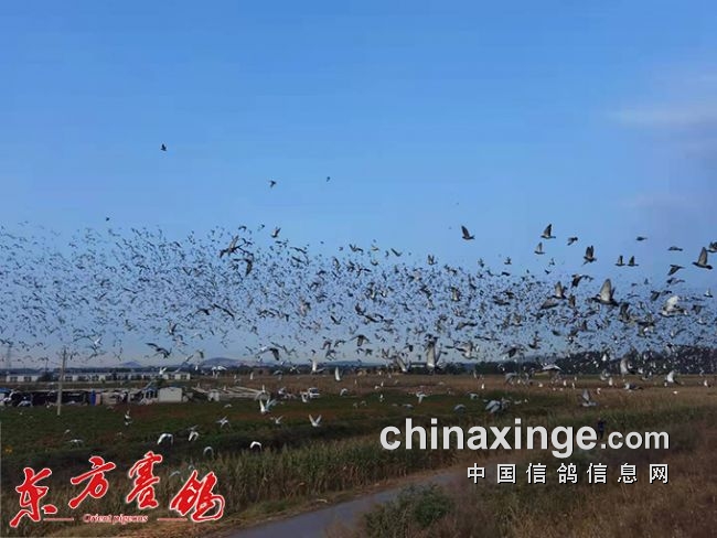 ������ֲ�һ�ηŷ�3���� ����һ�˻���Ǽ���