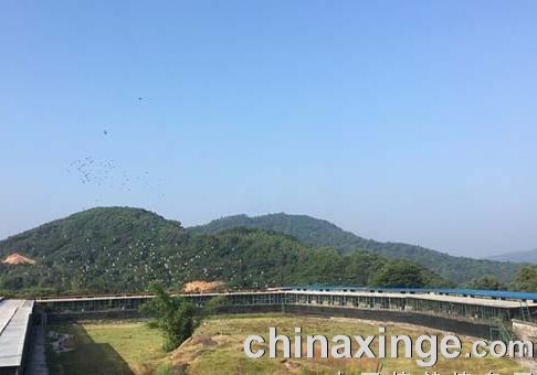 �����ȴ�18�� �������й��ʸ����ϵĹ���