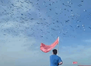 ���鿪�����Ÿ�ʫ�黭��ר��