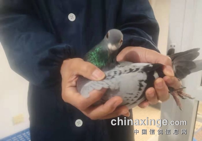 ��̨�ٶ����ھ����� ǰʮ���������ȿ�