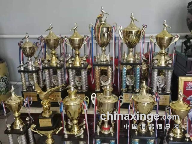 ý�屨����������Ⱥ�� �ø��Ӿ������������ָ��