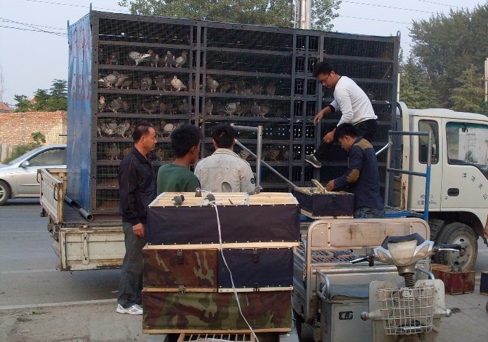 Ϸ˵�����������ǰ��Ա