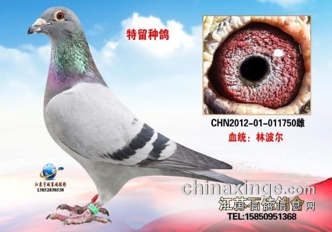 2022������� ������Σ�