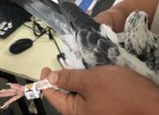 ���²���������������һ��ȡ�����GPS�㻷