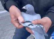 һ���ȣ��������400����ǰ�����ѳ�