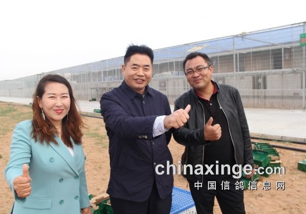 ���ĵ�Ӯ�����ս�߹鳲���Ϻ�����-�������Ӯ�ң�