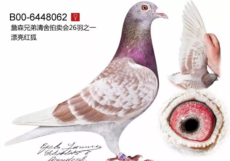 ���Ŵ�ѧ�Ƕ� ���������������