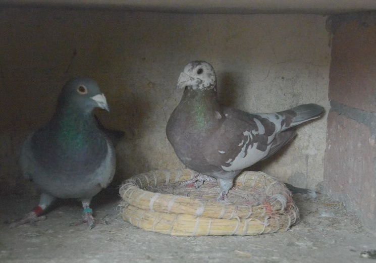 ���뷱�� �Ⱥú�����Ҫ����ʲô��