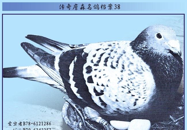 ղɭ���뵵������� ����͹���