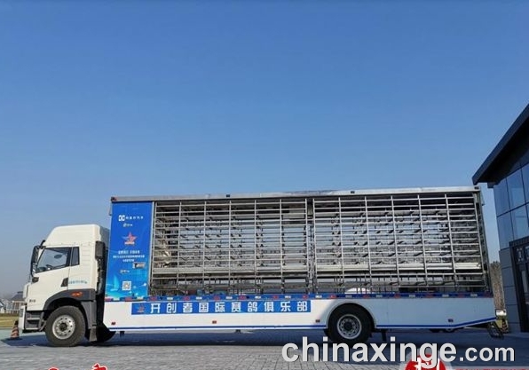 ���������������ߵ��� ����������