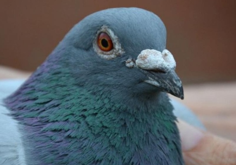 �����񽱵���������ӣ�