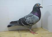 ��̫�����ˣ����ĳ����� �����Ŷ���