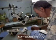 ������ˮѵ���ƻ����ӹ鳲��