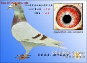 һ������Ĵ���