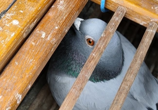 �����׸���սǧ���� ϣ��ͻ������