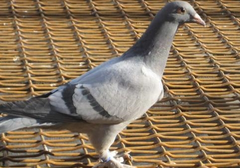 ��н���Ѱٷ�֮���ѡ���׼