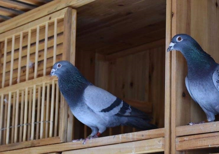 ���������磺�������ϵ ������Ӱ�췢�ӣ�����