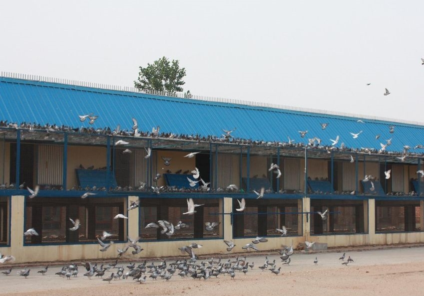 ������������ʱ�ݣ�