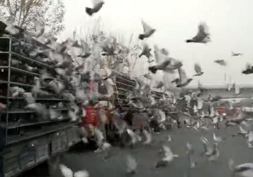 ����550����ʡ�����γǵڶ��طŷ�