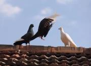 �ɶ����ѽ���������������ᶼСӮ