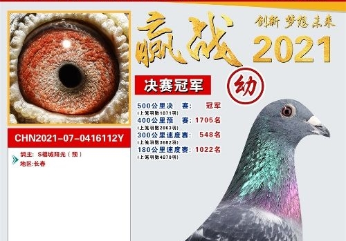 ����������������Ǿ��׸���ھ���ͼ��