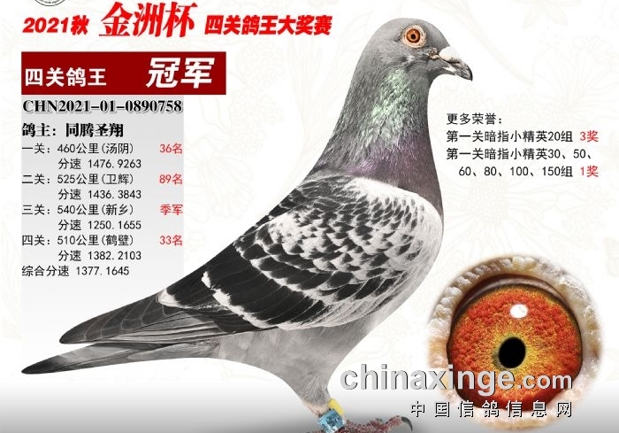 �������˽��ޱ��ܹھ� ͬ�Ĺ���Ķ�������