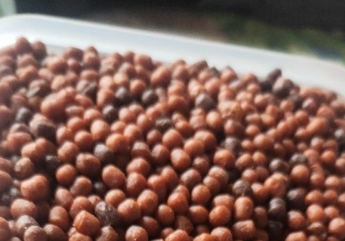 ��ʱ���� �ҳ�Ϊ�ۺϸ����з���һ��