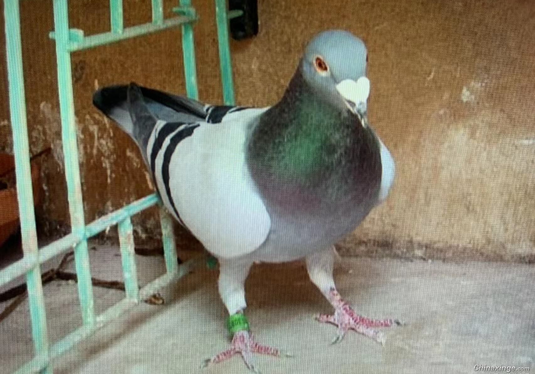 ����818����������������������ھ�