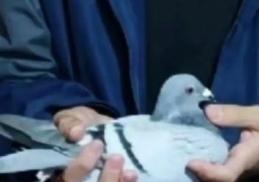 ˭����ֻ���� �Ҹ���30��